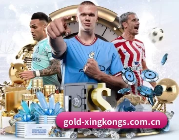 gold-xingkongs.com.cn APP 深度功能